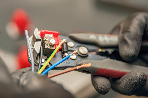 Best Electric Panel Repair  in Cedar Glen West, NJ